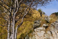 24-settembre-2011-dolmen-monte-freddone-alpi-apuane-apuanian-alps-enrico-calzolari-photo-paolo-maggiani_dsc4223jpg_25535910144_o
