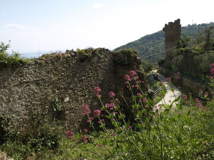 torre vista da ingresso al castello di moneta