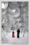 neve-alberi-foglie-Paolo-Maggiani-Photos-D61018P_MAG7903