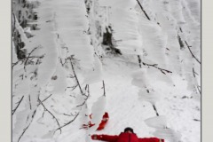 neve-alberi-foglie-Paolo-Maggiani-Photos-D61018P_MAG7914
