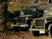 fuoristrada, Willy, jeep, off-road vehicle, US Army, raduno storico